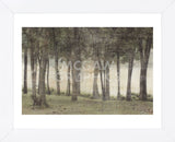 Forest (Framed) -  Erin Clark - McGaw Graphics