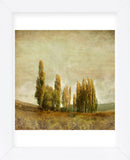 Autumnal Feelings (Framed) -  Carlos Casamayor - McGaw Graphics