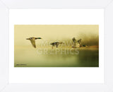 Ducks Flying (Framed) -  Carlos Casamayor - McGaw Graphics