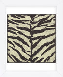 Zebra Skin (Framed) -  Susan Clickner - McGaw Graphics