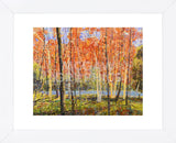 Forest Glow (Framed) -  Jean Cauthen - McGaw Graphics