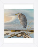 Marsh Watch - Great Blue Heron (Framed) -  Richard Clifton - McGaw Graphics