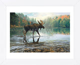 Moose Crossing (Framed) -  Russell Cobane - McGaw Graphics