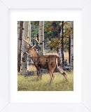 Fall Whitetail (Framed) -  Russell Cobane - McGaw Graphics