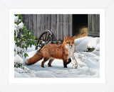 Fox and Barn (Framed) -  Russell Cobane - McGaw Graphics