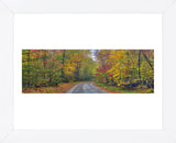 Autumn Road (Framed) -  Doug Cavanah - McGaw Graphics