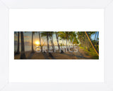 Palm Cove (Framed) -  Doug Cavanah - McGaw Graphics