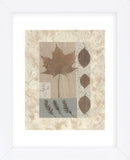 Copper Beech  (Framed) -  Denise Duplock - McGaw Graphics