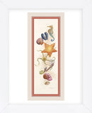 Seashore Discovery  (Framed) -  Lisa Danielle - McGaw Graphics