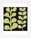 Green Fern on Black  (Framed) -  Denise Duplock - McGaw Graphics