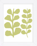 Green Fern on White  (Framed) -  Denise Duplock - McGaw Graphics