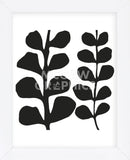 Maidenhair (black on white)  (Framed) -  Denise Duplock - McGaw Graphics