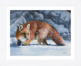 Fox at the Pines (Framed) -  Kevin Daniel - McGaw Graphics