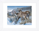 Snow Drifters (Framed) -  Kevin Daniel - McGaw Graphics