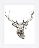 Elk (Framed) -  Philippe Debongnie - McGaw Graphics