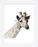 Giraffe (Framed) -  Philippe Debongnie - McGaw Graphics