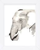 Elephant (Framed) -  Philippe Debongnie - McGaw Graphics