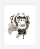 Chimp (Framed) -  Philippe Debongnie - McGaw Graphics