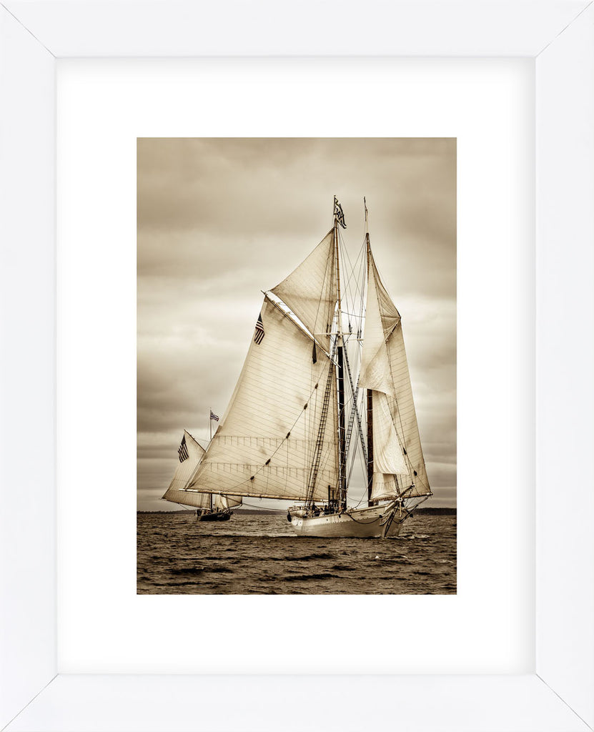 Racing Downwind Wing-on-Wing (Framed) | McGaw Graphics