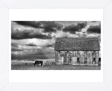 Horse and Barn (Framed) -  Trent Foltz - McGaw Graphics