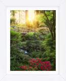 Awakening Garden II (Framed) -  Dennis Frates - McGaw Graphics