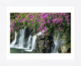 Floral Falls (Framed) -  Dennis Frates - McGaw Graphics