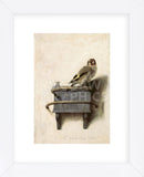 The Goldfinch, 1654 (Framed) -  Carel Fabritius - McGaw Graphics