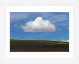 Spring Cloud (Framed) -  Trent Foltz - McGaw Graphics