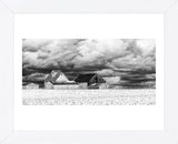 Five White Barns (Framed) -  Trent Foltz - McGaw Graphics