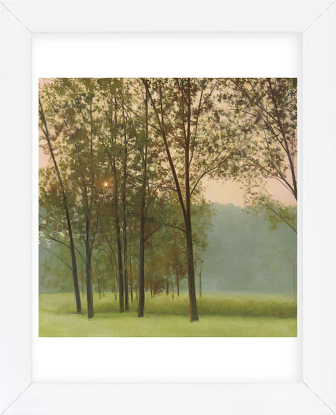 Haze (Framed) | McGaw Graphics