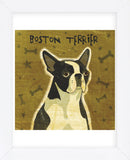 Boston Terrier (square)  (Framed) -  John W. Golden - McGaw Graphics