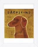 Dachshund (red) (square)  (Framed) -  John W. Golden - McGaw Graphics