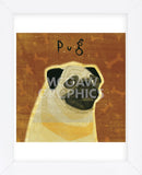 Pug (square)  (Framed) -  John W. Golden - McGaw Graphics