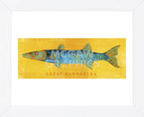 Great Barracuda  (Framed) -  John W. Golden - McGaw Graphics