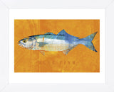 Bluefish  (Framed) -  John W. Golden - McGaw Graphics