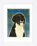 Portuguese Water Dog (Framed) -  John W. Golden - McGaw Graphics