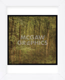 Fog in Mountain Trees (Framed) -  John W. Golden - McGaw Graphics