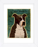 Brindle Pit Bull (Framed) -  John W. Golden - McGaw Graphics