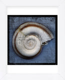 Snail (Framed) -  John W. Golden - McGaw Graphics