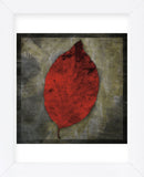 Red Dogwood (Framed) -  John W. Golden - McGaw Graphics