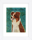 Australian Shepherd (Red) (Framed) -  John W. Golden - McGaw Graphics