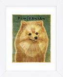 Pomeranian (Framed) -  John W. Golden - McGaw Graphics
