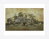 Sugarmill Oak, Louisiana (Framed) -  William Guion - McGaw Graphics