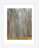 Birch Woods (Framed) -  Elissa Gore - McGaw Graphics