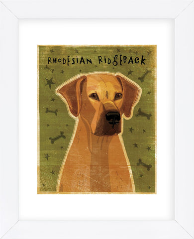 Golden sales rhodesian ridgeback