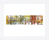 Autumn Lake II (Framed) -  Elissa Gore - McGaw Graphics