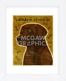 Chocolate Lab (NEW) (Framed) -  John W. Golden - McGaw Graphics