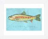 Rainbow Trout (Framed) -  John W. Golden - McGaw Graphics
