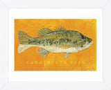 Largemouth Bass (Framed) -  John W. Golden - McGaw Graphics