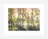 Autumn Shady (Framed) -  Elissa Gore - McGaw Graphics